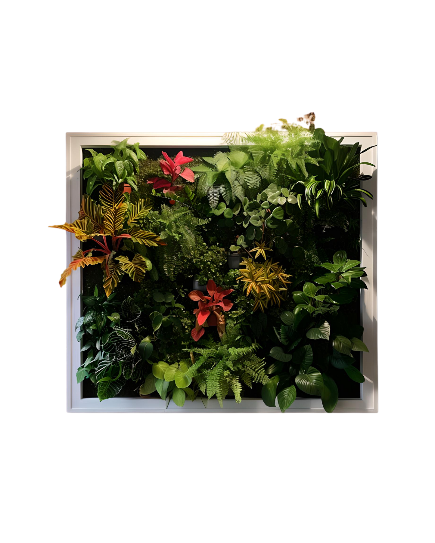 Oversized Floral Frame